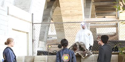 The Purging of the Pundit posteri