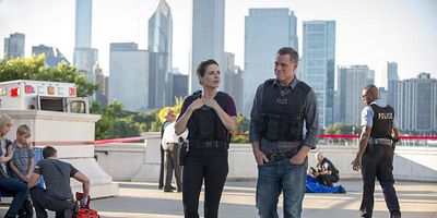 Natural Born Storyteller posteri