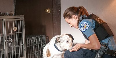 Debts of the Past posteri