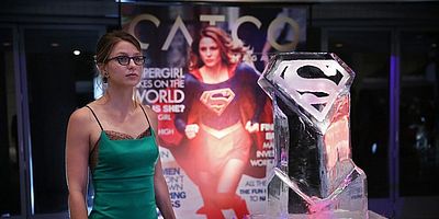 Fight or Flight posteri