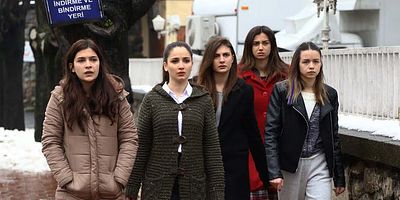 Kırgın Çiçekler 29.Bölüm posteri