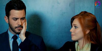 Kiralık Aşk 32.Bölüm posteri