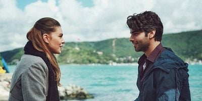 Kış Güneşi 12.Bölüm posteri