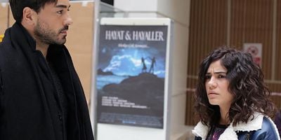 Seviyor Sevmiyor 23.Bölüm posteri