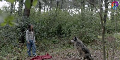 Anne 25.Bölüm posteri