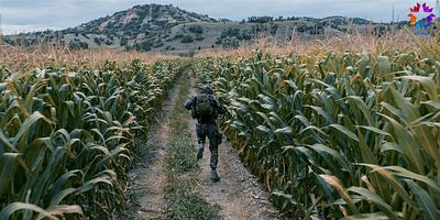 Börü 3.Bölüm posteri