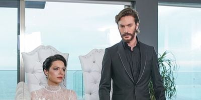 Yasak Elma 29.Bölüm posteri