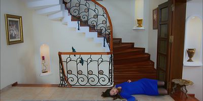 Beni Bırakma 235.Bölüm posteri