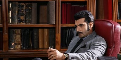 Bir Zamanlar Çukurova 31.Bölüm posteri