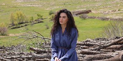 Hercai 8.Bölüm posteri