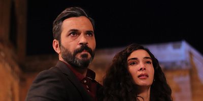 Hercai 22.Bölüm posteri