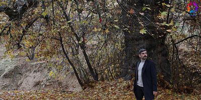 Güvercin 4.Bölüm posteri