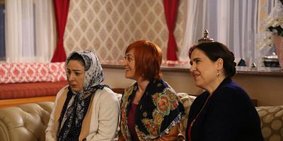 Kuzey Yıldızı İlk Aşk 17.Bölüm posteri