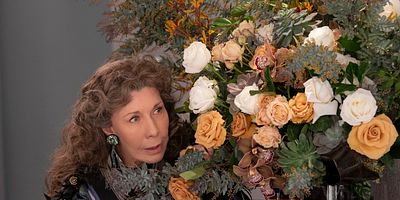 The Laughing Stock posteri