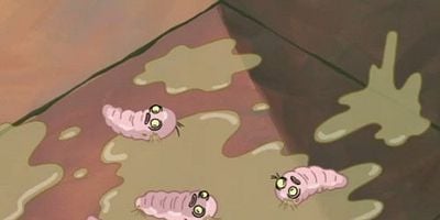 Pet or Pests / Komputer Overload posteri