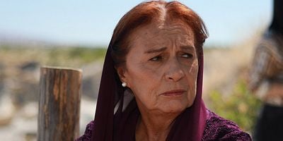 Zümrüdüanka 13.Bölüm posteri