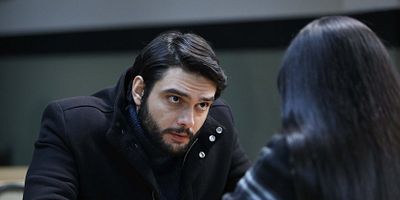 Alev Alev 15.Bölüm posteri