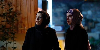 Kızıl Goncalar 10.Bölüm posteri