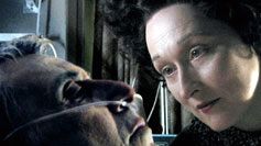 Kralın Popüler Adamları haber görseli