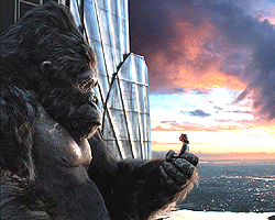 King Kong Risk Alıyor haber görseli