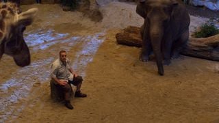 Şu Hayvanların Dili Olsa! haber görseli