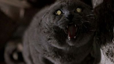 Hayvan Mezarlığı (Pet Sematary) Yeniden Sinema Filmi Oluyor haber görseli