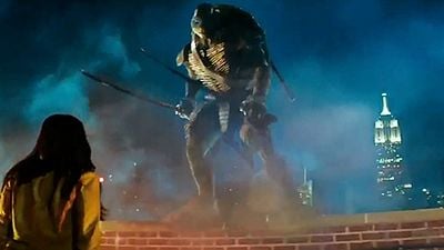 Ninja Kaplumbağalar'ın Maskesi Düştü! haber görseli