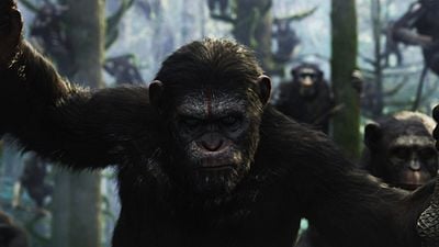 Maymunlar Cehennemi Zirveyi Kaptırmadı! haber görseli