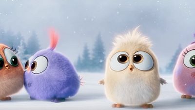 The Angry Birds Movie'den Yeni Video! haber görseli
