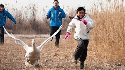 27. Ankara Uluslararası Film Festivali Çocukları Unutmadı! haber görseli