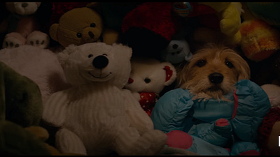 Sevimli Köpek “Benji” Kalbimizi Eritmeye Geliyor! haber görseli