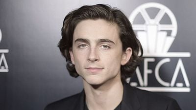 Wes Anderson’ın Yeni Filmine Timothée Chalamet Dahil Oldu!