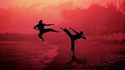 Youtube'dan Ayrılan "Cobra Kai" Hangi Platforma Geçecek? haber görseli