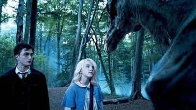 Harry Potter Serisinin Luna'sı, Dumbledore'un Cenazesi Hakkında Konuştu