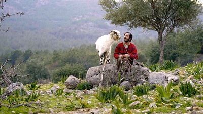 Turna Misali, Dünya Prömiyerini Tokyo Film Festivali’nde Yapacak
 haber görseli