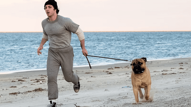 Sylvester Stallone’un "Rocky" Yolculuğu "I Play Rocky"den Heyecan Verici Yeni Fragman! haber görseli