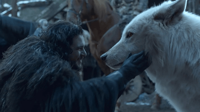 George R.R. Martin, Soyu Tükenen Ulukurtlarla Buluştuğunda Gözyaşlarını Tutamadı haber görseli