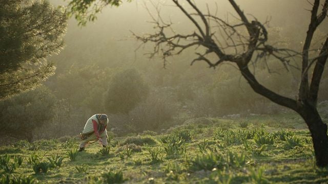 33. Ankara Film Festivali Biletleri Yarın Satışa Çıkıyor! haber görseli