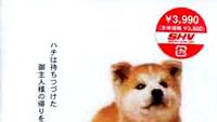 Hachiko: Bir Köpeğin Hikayesi haber görseli