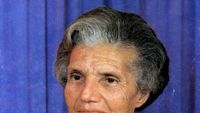 Miral haber görseli
