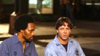 Russell Crowe Kung-fu Filminde! haber görseli