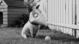 'Frankenweenie'den İlk Kareler  haber görseli