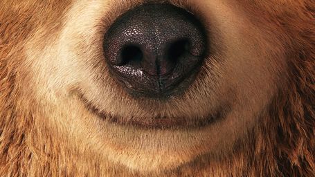 Paddington Filminden Türkçe Yerel Afiş İlk Kez Beyazperde.com'da! haber görseli