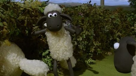 Shaun Firarda!
 haber görseli