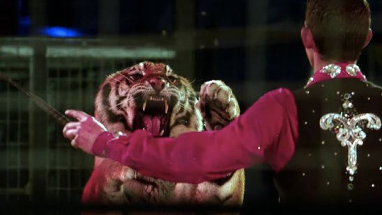 PETA'dan CBS'in Yeni Dizisi Zoo'ya Büyük Tepki! haber görseli