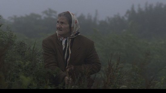 Kalandar Soğuğu Tokyo Film Festivali’nde! haber görseli
