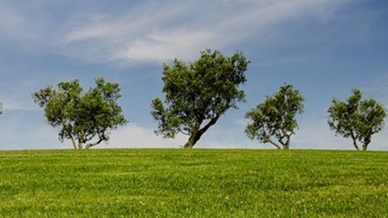 SAMKUŞ Uluslararası Kristal Turna Kısa Film Yarışması Katılımcılarını Bekliyor! haber görseli