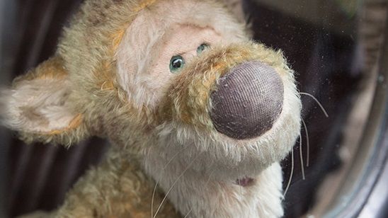 Ewan McGregor’lu “Christopher Robin”in Sevimli Karakterleri Tatilde! haber görseli