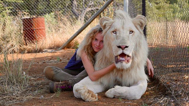 Mélanie Laurent’li “Mia and the White Lion”dan Fragman Geldi! haber görseli