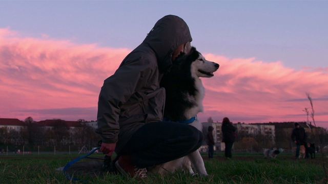 Netflix Belgeseli ‘Dogs’ 2. Sezon Onayını Aldı